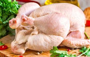 مرغ های وارداتی تحت نظارت به بازار عرضه می شود